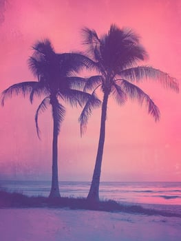 Two Palm Trees Silhouetted Against a Pink Sunset Ocean photo