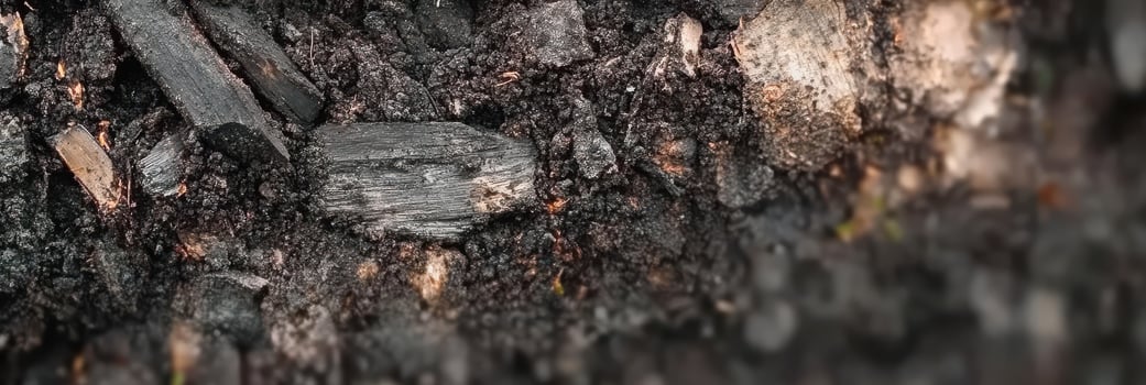 Rich black soil with organic matter and natural texture for agriculture and gardening photo