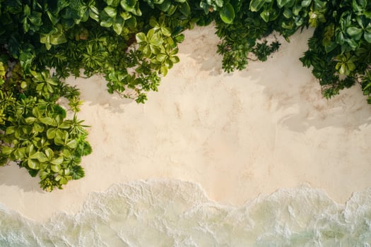 Aerial view of tropical beach with lush green foliage and gentle ocean waves photo