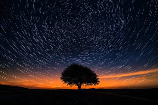 Star trails over lone tree against vibrant sunset in night sky photography photo