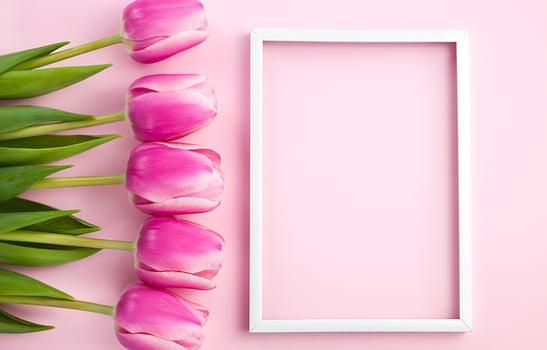 Flat lay with beautiful bouquet of pink tulips and white vertical frame on pink background. Close-up. Top view. Copy space. photo
