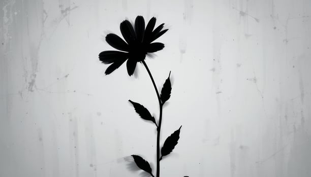 Black and White Silhouette of a Single Flower Against a Textured Background A Study in Minimalism and Contrast photo