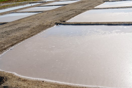 Explore the beautiful small salt lakes in France, where traditional sea salt harvesting occurs. The vibrant colors and reflective waters create a picturesque and serene landscape. photo