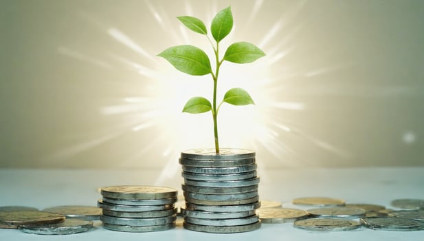 Small plant growing out of stacked coins symbolizing investment growth photo