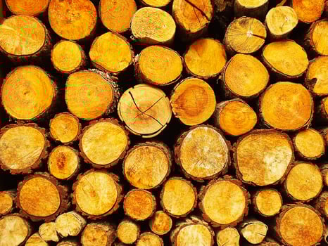 Pile of logs with a lot of different sizes. The logs are stacked on top of each other and are all different sizes photo