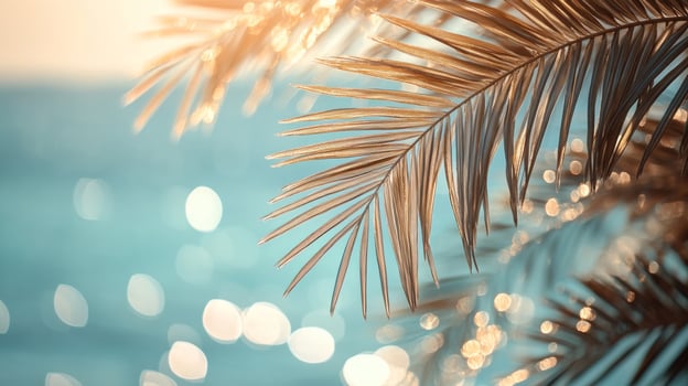 Tropical palm leaves on the beach at sunset photo