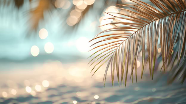 Tropical palm leaves on the beach with bokeh photo