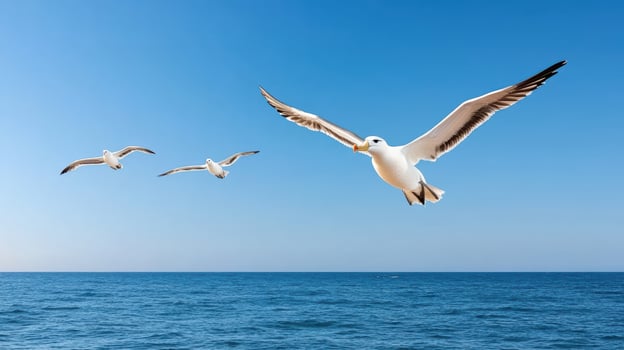 Three seagulls flying over the ocean photo