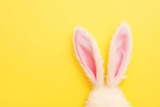 White fluffy bunny ears peek from edge on vibrant yellow background photo