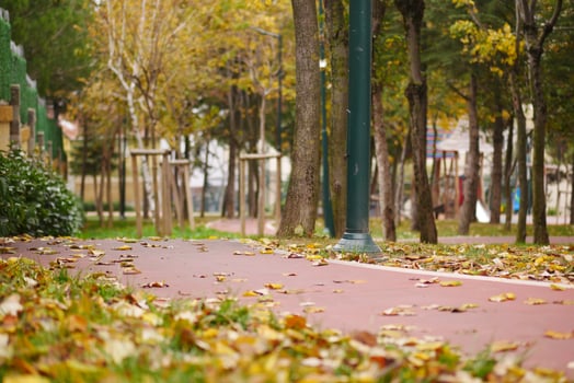 Autumn walk along a park path covered in leaves photo