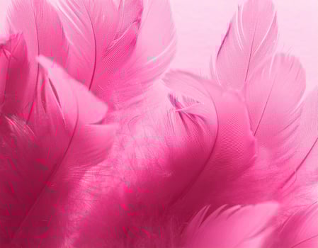 Pink feathers as abstract background photo