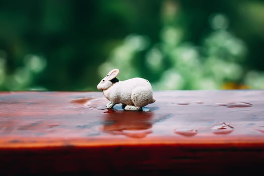 White toy rabbit photo