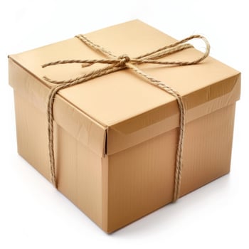 Cardboard box tied with string on white photo