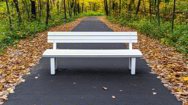A white bench sitting on a paved path in a forest photo