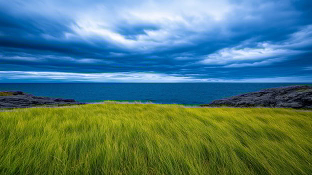 A grassy field with a blue sky and clouds photo