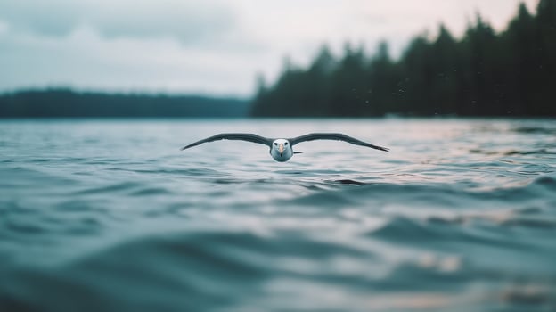 Majestic Albatross Soaring Low Over Calm Ocean Water Forest Background photo
