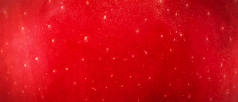 Texture of red apple skin macro photo banner size background.