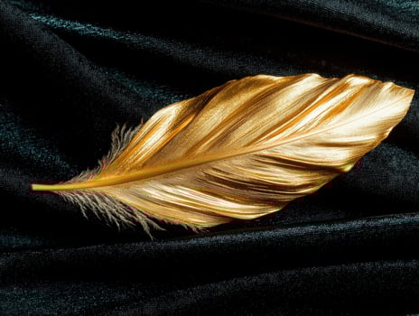 Golden feather on dark fabric photo