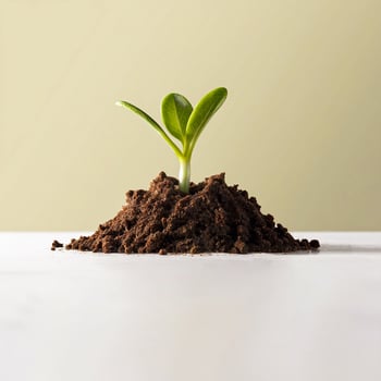 Small plant sprouting from piece of soil on light beige background. photo