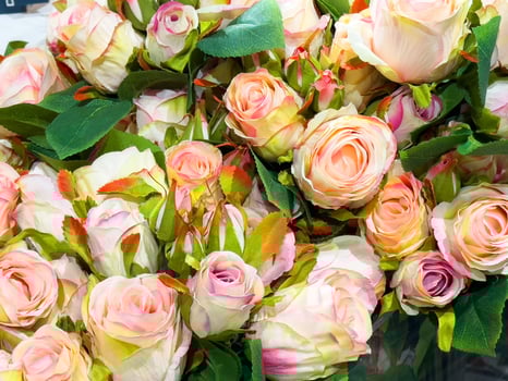 Vibrant bouquet of pink and cream roses with lush green leaves photo