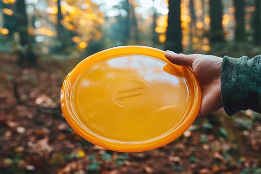 Outdoor Frisbee Review Thumbnail Design with Vibrant Graphics for Autumn Adventures photo