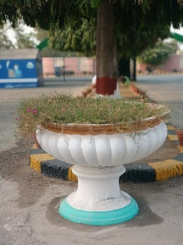 White Stone Planter Pot with Green Plants Outdoor Garden park soil view home image grass round urban photo