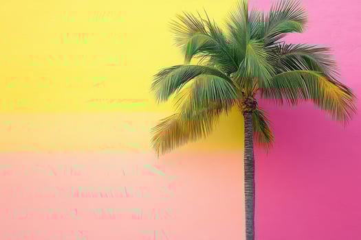 Vibrant palm tree against colorful pink and yellow wall in urban setting photo