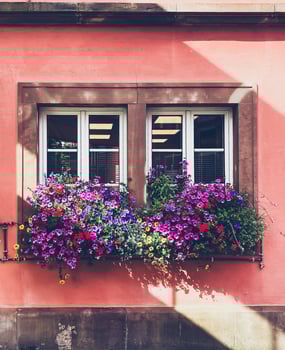 Window with a flower box on the sill photo