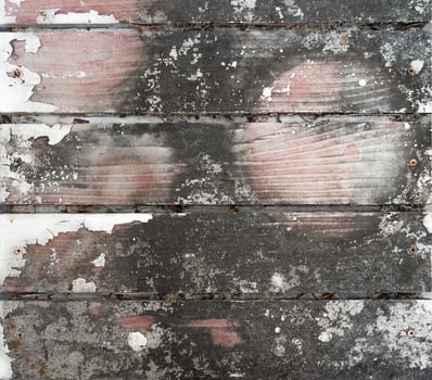 Weathered wooden planks with peeling paint and mildew. photo