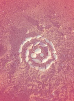 Shells laid out in a spiral lie on the sand. twisted spiral from seashells on the beach, gently pink tinting. round shape from small shells. the photo has a vertical orientation