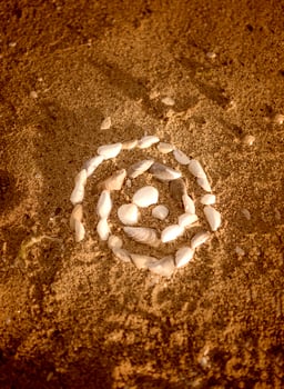Shells laid out in a spiral lie on the sand. twisted spiral from seashells on the beach. round shape from small shells. the photo has a vertical orientation