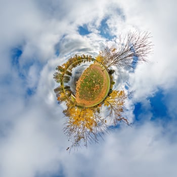 A small planet with a tree and sky photo