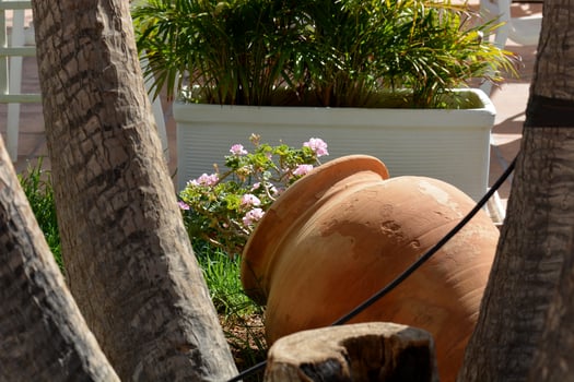 a large brown vase photo