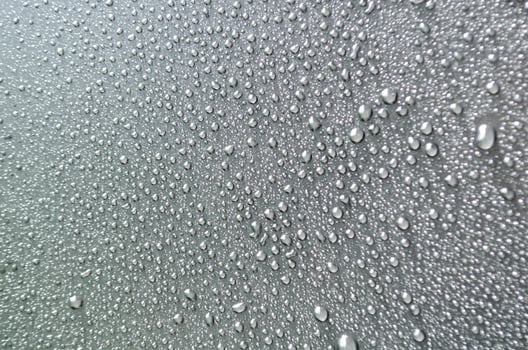 Shimmering Water Droplets on a Deep, Dark Canvas photo