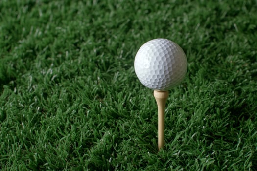 A golf ball on a wooden stick in the grass photo