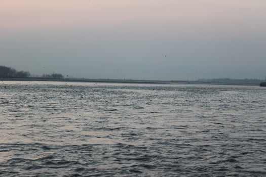 A body of water photo