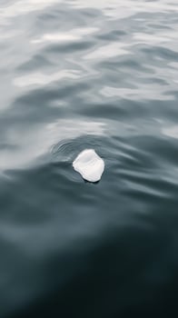 A white object floating in the water photo