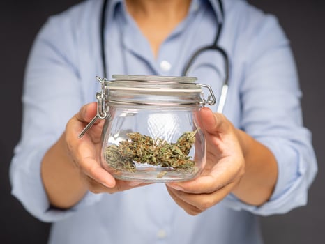 A doctor is holding a glass jar with dry cannabis buds while standing on a gray background photo