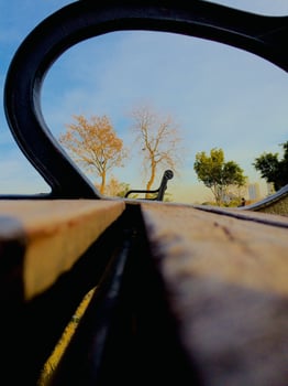 A bench with a reflection of a tree and sky photo