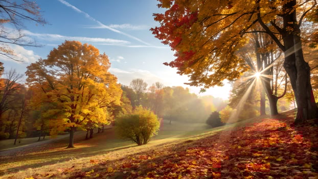 Sunlit Autumn Landscape with Golden and Red Trees photo