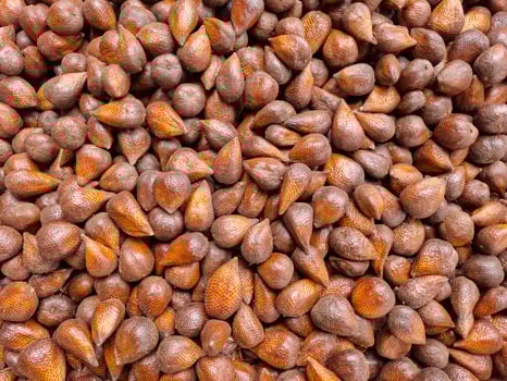 A pile of snackfruit in Indonesia is known as salak photo