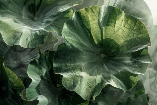Large green leaves creating a stunning natural background photo