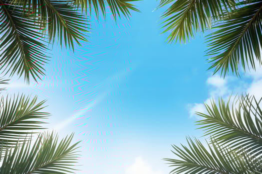 Palm trees framing a clear blue sky with light clouds and sun rays photo