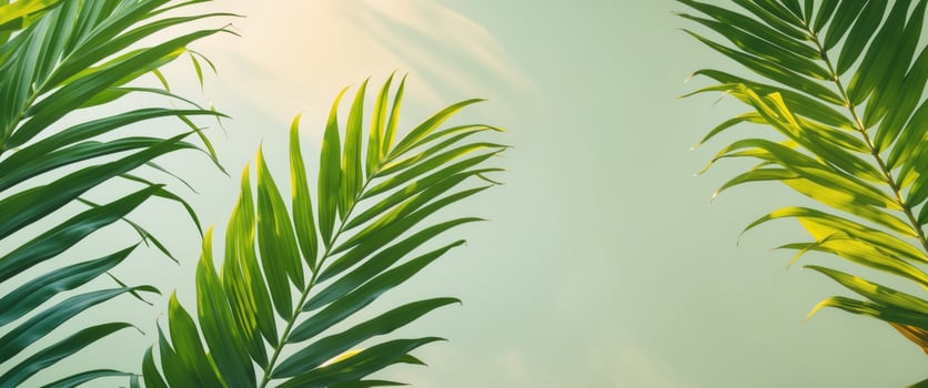 Tropical Green Leaves Texture Background Ideal for Nature Themes and Copy Space for Text photo