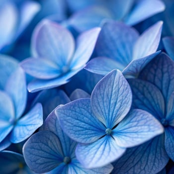 Close-up of cobalt blue petals nature botanical photography serene environment floral concept photo