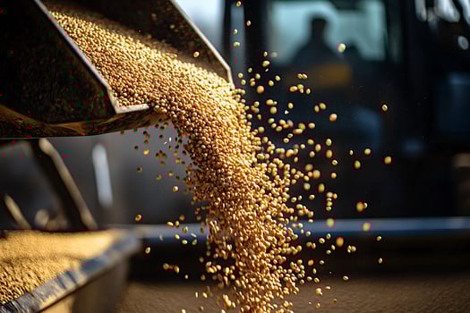 Combine harvester unloading freshly harvested soybeans into a truck photo