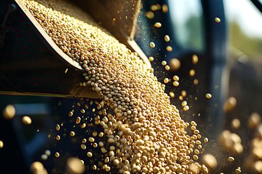 Harvester unloading freshly harvested soybeans into truck photo