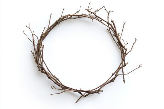 Rustic Branch Wreath - Simple Nature Decor photo