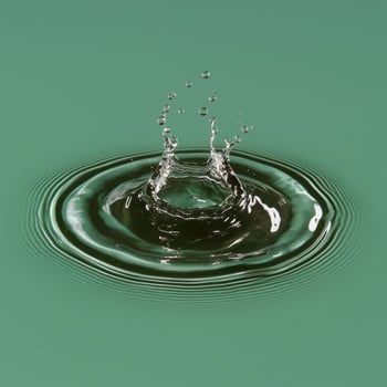 A water droplet creates a ripple effect photo