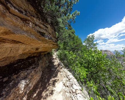 A scenic hiking trail winds along a cliff edge with lush greenery photo